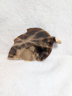 Chocolate Calcite Leaf crystal from Syn's Crystal Co, featuring a polished leaf-shaped stone with rich brown tones and natural calcite texture.
