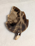 Chocolate Calcite Leaf crystal from Syn's Crystal Co, featuring a polished brown and gold-toned calcite leaf specimen.