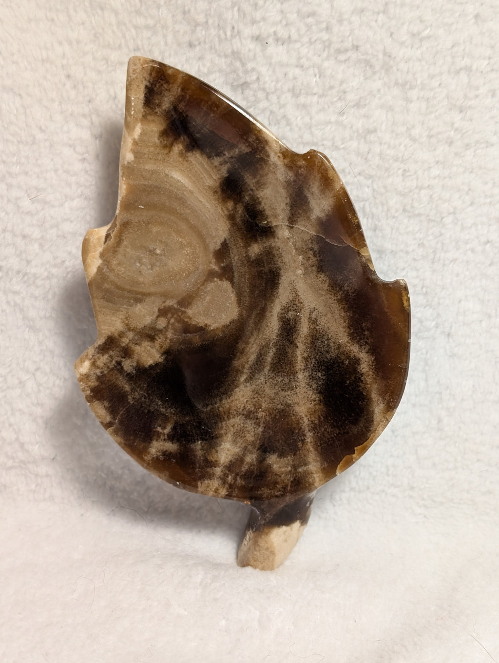 Chocolate Calcite Leaf from Syn's Crystal Co showcasing a rich brown mineral with leaf-shaped natural formations.