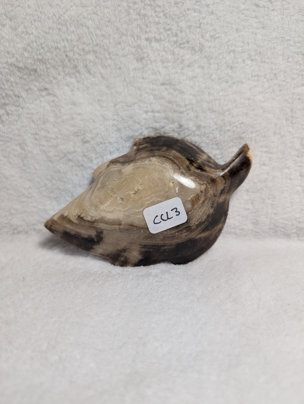 Chocolate Calcite Leaf crystal from Syn's Crystal Co, showcasing a polished stone with leaf-shaped natural patterns and warm brown hues.