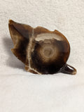 Chocolate Calcite Leaf gemstone from Syn's Crystal Co showing a polished chocolate brown calcite with leaf-like shape and natural texture.